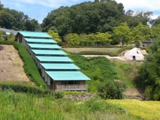元屋敷陶器釜跡保存整備